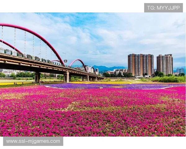 商洛体育馆建设融入公园设计，赛后向市民开放促全民共享